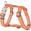 Postroj Red Dingo Reflexní ZIGGY 15 mm x 36 - 54 cm Oranžová