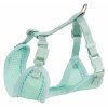 Postroj vestička štěně 26-34cm/10mm + vodítko 2m/10mm - máta