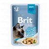 Brit Premium Cat D Fillets in Gravy With Chicken 85g