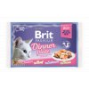 Brit Premium Cat D Fillets in Jelly Dinner Plate 340g