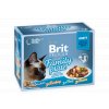 Brit Premium Cat D Fillets in Gravy Family Plate 1020g