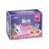 Brit Premium Cat D Fillets in Jelly Family Plate 1020g