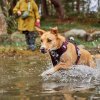 postroj hurtta weekend warrior eco II novinka 3