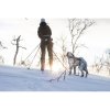 Opasek LOYPE Non-stop Dogwear vel. M - lyžování, běhání, turistika