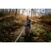 Vodítko Touring Bungee Non-stop Dogwear s amortizérem 2m/2,3cm