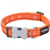 obojek red dingo Desert Paws Orange
