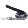 voditko flamingo grey plamenak red dingo pes