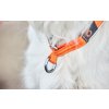 Obojek Cruise Non-stop Dogwear polostahovací Oranžový