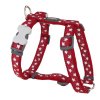 postroj red dingo stars white on red
