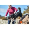 Postroj Ramble Non-stop Dogwear Fialový