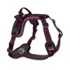 ramble postroj fialovy non stop dogwear