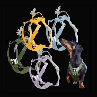 🆕 Pecka novinka od Hurtty na Psikralovstvi.cz! 🪶 Hurtta Seeker postroj – lehký, měkce polstrovaný a ideální jako první...