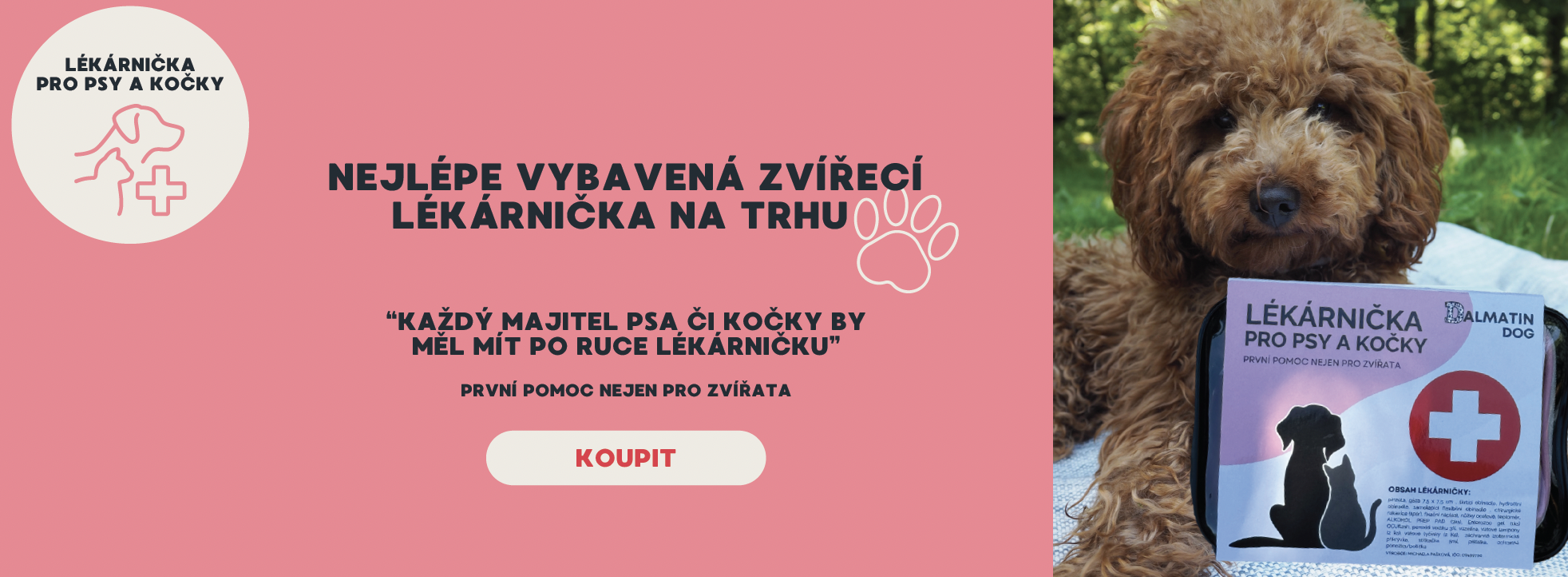 úvodní fotka