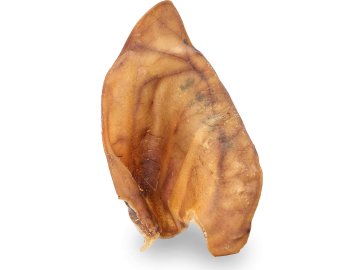 05c5104076ac8bdef3588ab44adaf101