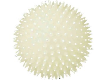 4a9d05cd875d7cf1bacf044a8eeccaf2