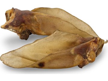 5cc79d77e5cafa3aca59fd9309a34cb8