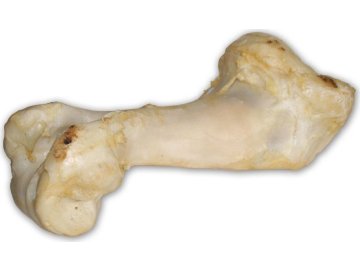 e3bcc80d20421f9a3d9b6b4a8d01343a