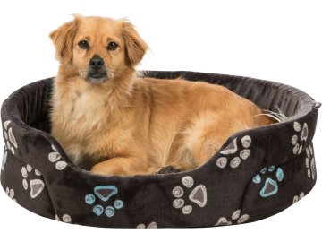 db1332f52b415fe9484f0e7ca4e1fa5e