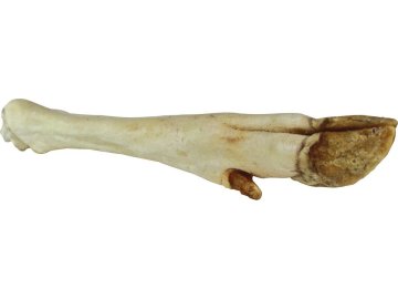 3118b6ea4bf6ff78b4a194b4f997bcd6