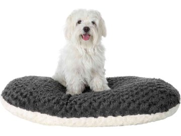 9e90ca8435209e90b1290a6d24dd4f1a