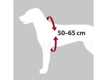 8122fcf7bc9648642259250e9cf72698