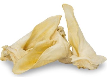 ca9c163d5e2d1d181d6e77f4d58f4997