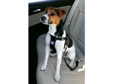 e11bd7c10c4bf7d58d2b5b2d43ce1d2f