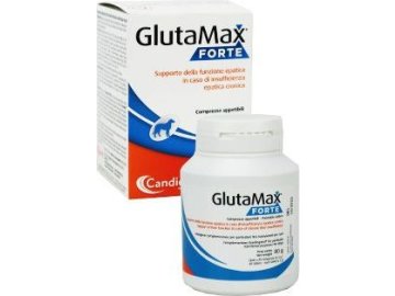 Glutamax forte 40tbl