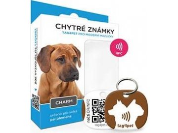 2e17df52ff1a9efe03a6be7fe7f2c66d