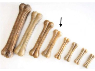Buvolí kost přírodní Tenesco 14 cm