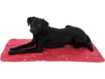 e1f8a55a22cfcc157ed2323acbd6cc8b