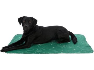 81115d67711c8c6a46183f2fcf6d2180