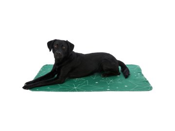 af3523bcf0c4c50b5f936326d7e3faaa