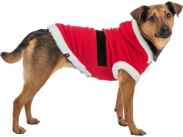 95d5b32a88bd414ff513127206d3cea2