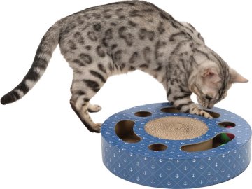 f3c81544b20d26ef294e6d5e2d2929aa