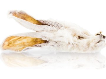 9c69c5c5896f39b07ce5efc8aedd9985