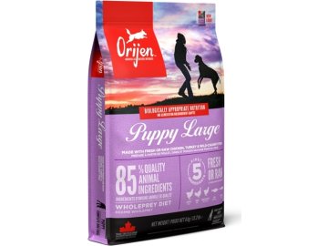 Orijen Puppy Large 6kg