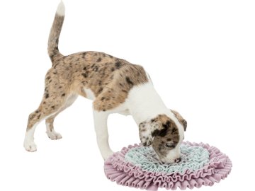 886de49206e5edcf6b0c46c4c7604977