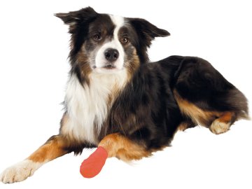 794112d41769ab1cdf7ac574a6e4386f