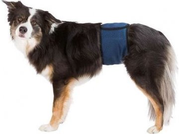 Břišní pás na podložky pro psa samce, tmavě modrý