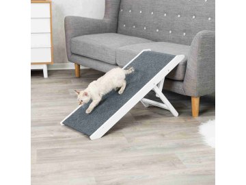 63c45e19b88c22f246f2a5fb4be66425