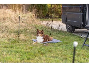 3cfaff7c44e82e656ba62080ef768bbd