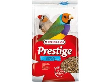 ffac6abb6066193b8a8984e9ed5887e6