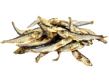 a772a393984c01da75e0a85553f7f095