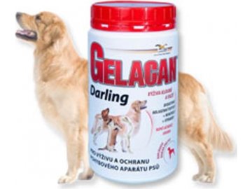 Gelacan Plus Darling 500g