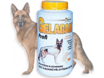 Gelacan Plus Profi 1000g