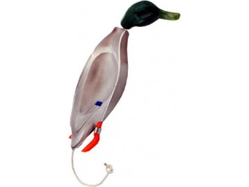 dokkens dead fowl kacica diva mala 41834