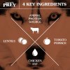 PREY AngusBeefDog DogKeyIngredients Marketing2