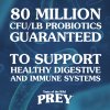 PREY AngusBeefDog Probiotics Marketing4