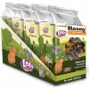 LOLOPets VITA HERBAL bylinkový mix pro hlodavce 40g